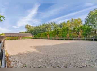 Country estate with equestrian facilities including an indoor riding arena, outdoor riding arena, an