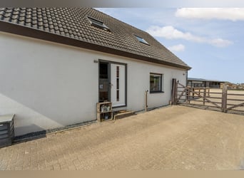 Detached property with spacious living and a high-quality, fully equipped equestrian facility