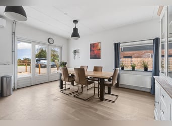Detached property with spacious living and a high-quality, fully equipped equestrian facility