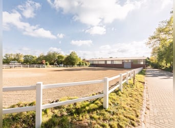 Dream equestrian facility with excellent connectivity near Oldenburg!