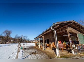 Dream farmhouse with an expanded equestrian area in Zeilarn (east of Munich), commission-free