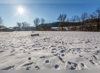 Dream farmhouse with an expanded equestrian area in Zeilarn (east of Munich), commission-free