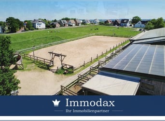 Dream horses in Bad Oeynhausen, riding facility with its own indoor riding arena