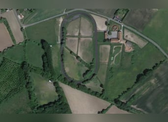 Ecurie d’entraînement de chevaux de course à fort potentiel !