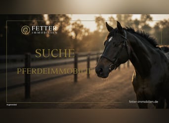 Elegant equestrian property with a large residence sought – budget up to €4,000,000
