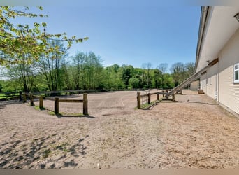 Elegantes Privatanwesen in Alleinlage für Pferdefreunde in ruhiger Lage