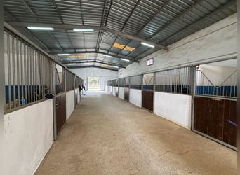 Equestrian Center in North Castellón