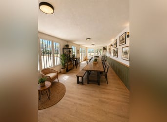 Equestrian estate located near the sea