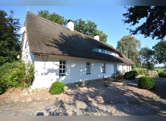 Equestrian estate on 5.7 hectares! Dream property featuring a thatched-roof house, guesthouse, and s