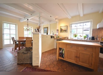 Equestrian estate on 5.7 hectares! Dream property featuring a thatched-roof house, guesthouse, and s