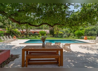 Equestrian excellence and Provençal way of life
