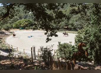 Equestrian excellence and Provençal way of life