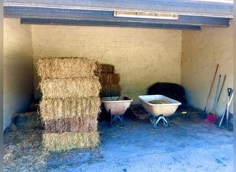 Equestrian facilities in the renowned Matarranya estate