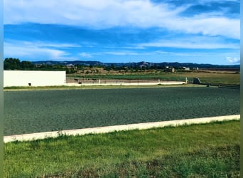 Equestrian facilities in the renowned Matarranya estate