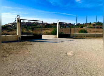 Equestrian facilities in the renowned Matarranya estate