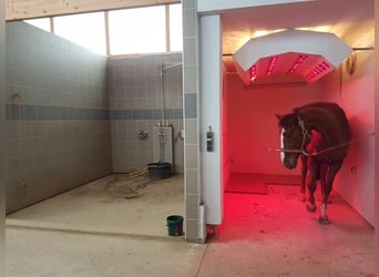 Equestrian facility by the lake