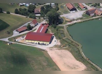 Equestrian facility by the lake