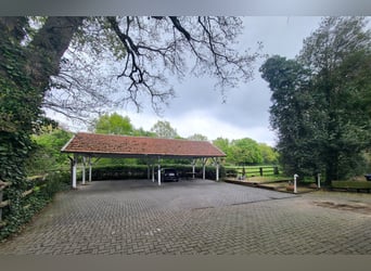 Equestrian facility for breeding, sport, and rehabilitation