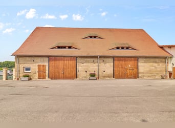 Equestrian Facility for Sale in Bavaria – Featuring Premium Living Comfort & Extensive Training Faci