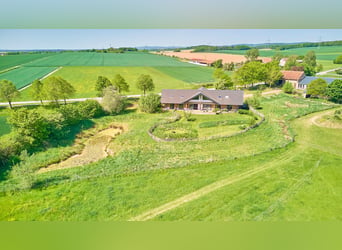Equestrian facility for sale in Hütschenhausen, Rhineland-Palatinate – stylish living included!