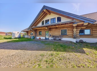 Equestrian facility for sale in Hütschenhausen, Rhineland-Palatinate – stylish living included!