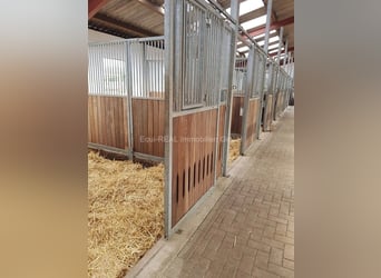 Equestrian facility in an idyllic location in Ammerland