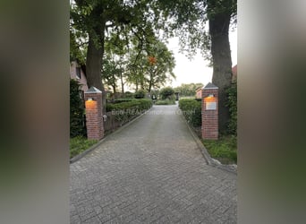 Equestrian facility in an idyllic location in Ammerland