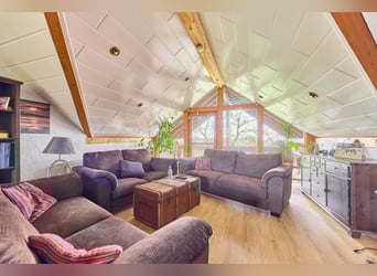 Equestrian facility in Hesse, Main-Kinzig-Kreis – secluded estate with riding hall, residential hous