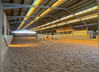 Equestrian facility in Ibbenbüren