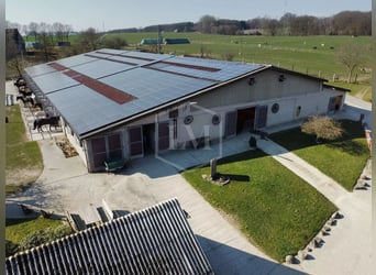 Equestrian facility in Ibbenbüren