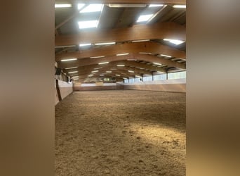 Equestrian facility in Kiel with 6 apartments near the beach – no broker fees