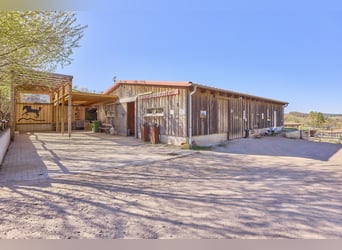 Equestrian facility in Rhineland-Palatinate – located in the Donnersbergkreis with a turnout stable 