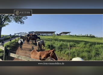 Equestrian facility in Rhineland-Palatinate – located in the Donnersbergkreis with a turnout stable 