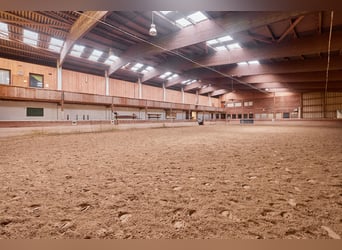 Equestrian facility in the Black Forest on a leasehold property featuring two residential units!