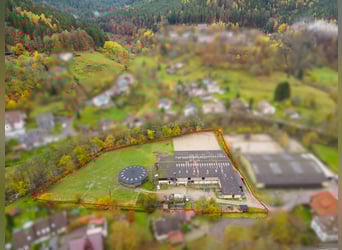 Equestrian facility in the Black Forest on a leasehold property featuring two residential units!