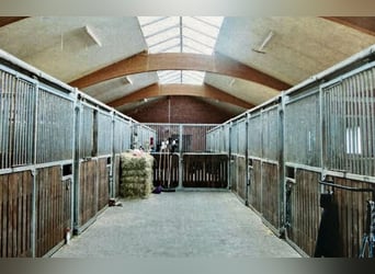 Equestrian Facility in the Heart of Germany
