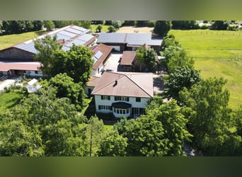 Equestrian Facility West of Munich V13137