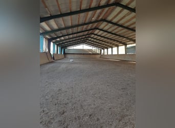 Equestrian facility with a 60-meter indoor arena near the Austrian border