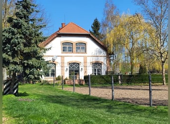 Equestrian facility with a 60-meter indoor arena near the Austrian border