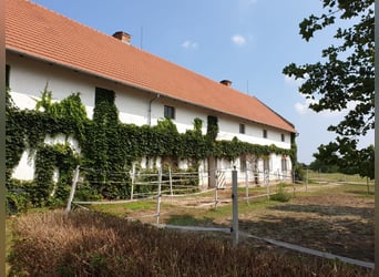 Equestrian facility with a 60-meter indoor arena near the Austrian border