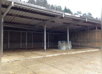 Equestrian facility with approximately 45 acres of private land, extensive riding arena, and multipl