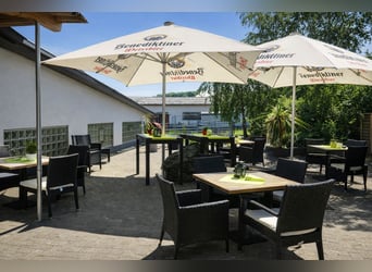Equestrian facility with residential and commercial units in Hohenahr – highly profitable – versatil