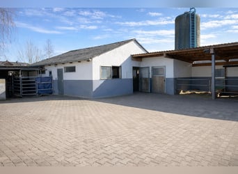 Equestrian facility with residential and commercial units in Hohenahr – highly profitable – versatil