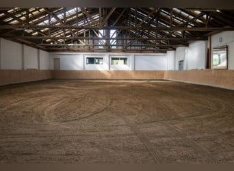 Equestrian facility with residential and commercial units in Hohenahr – highly profitable – versatil