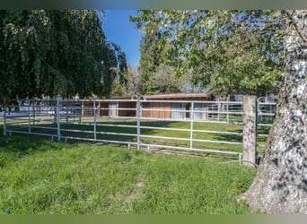 Equestrian facility with southern exposure