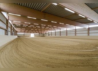 Equestrian facility with southern exposure