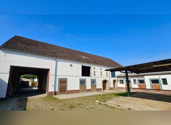 Equestrian facility with versatile development potential near Berlin