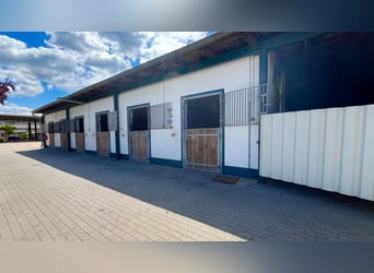 Equestrian facility with versatile development potential near Berlin