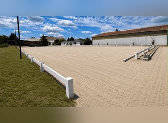 Equestrian facility with versatile development potential near Berlin