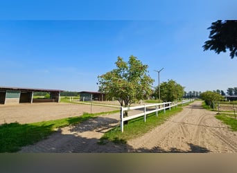 Equestrian facility with versatile development potential near Berlin